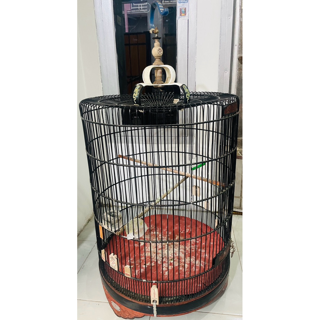 sangkar burung murai no 1