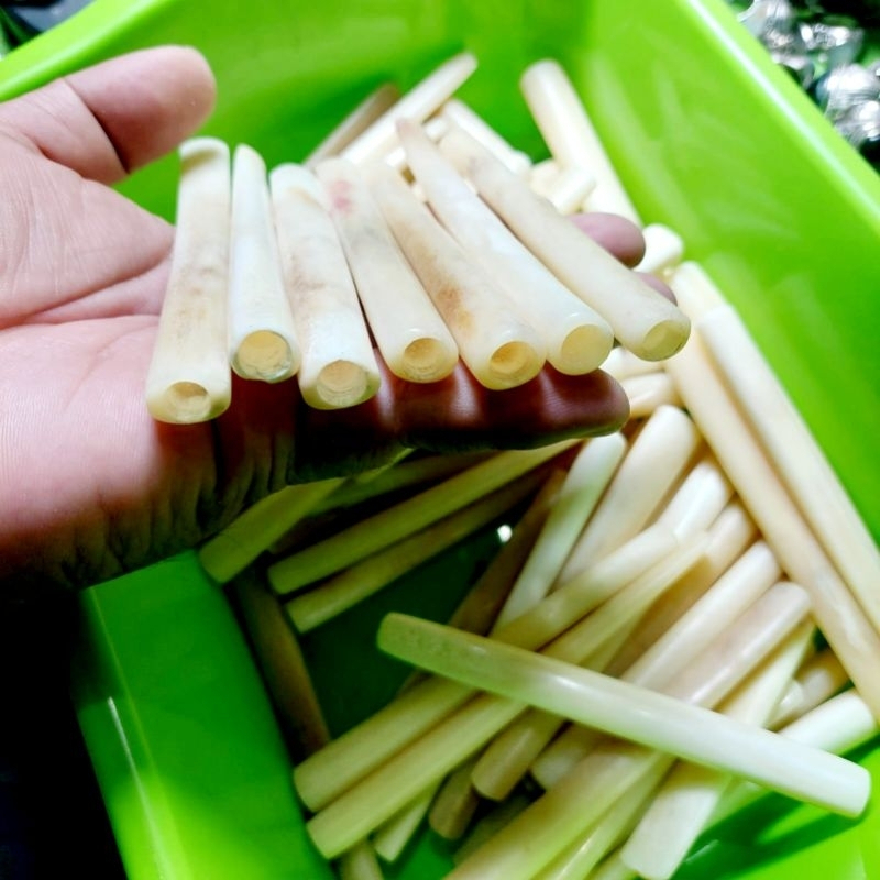 Pipa Once Tulang Sapi Asli Premium Panjang 9-10 cm