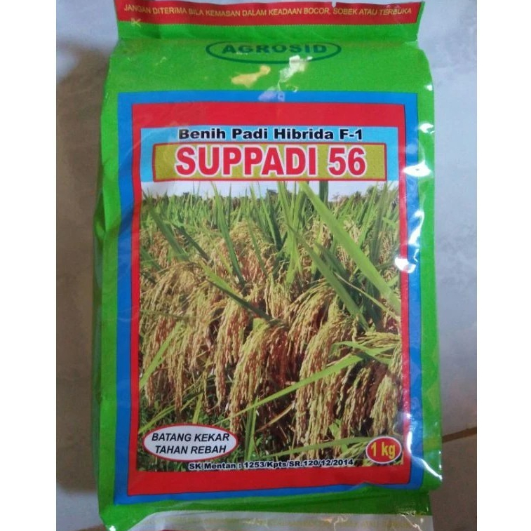Benih Padi Hibrida Suppadi 56 Super hibrida f-1 agrosid