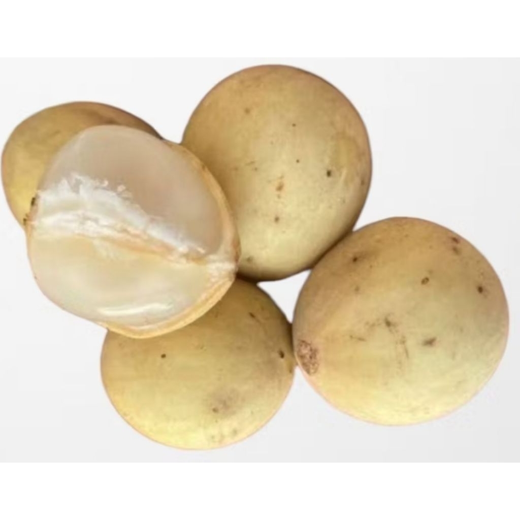 Duku Palembang Manis