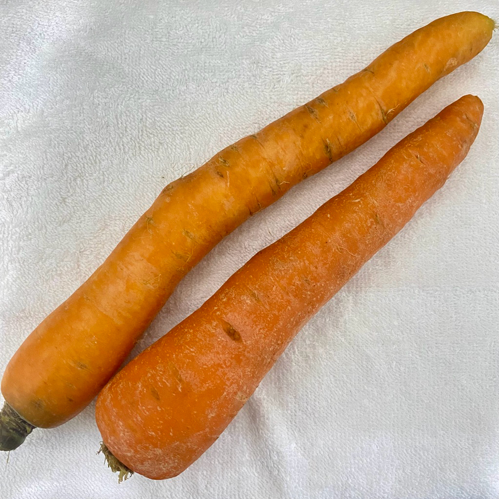 Wortel Brastagi/ Wortel Fresh Brastagi/ Wortel