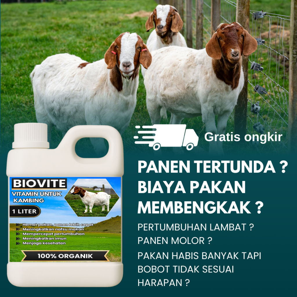 vitamin kambing-suplement kambing probiotik, vitamin khusus ternak kambing