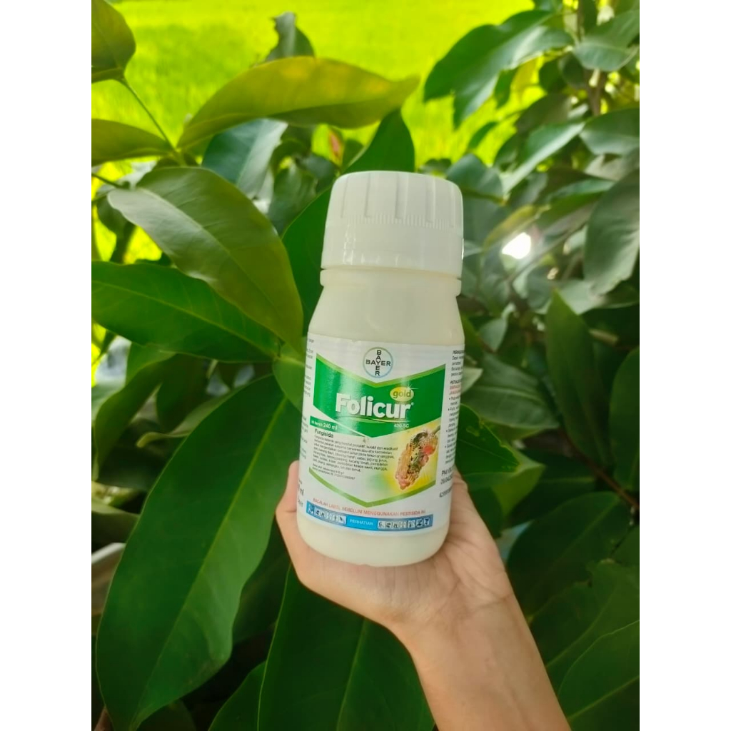 FOLICUR GOLD 240ml – Fungisida Cair Sistemik Penyakit Tanaman