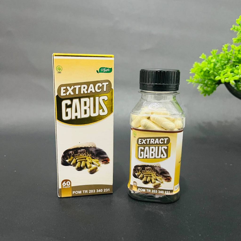 Kapsul Ekstrak Ikan Gabus Albumin – Kaya Protein