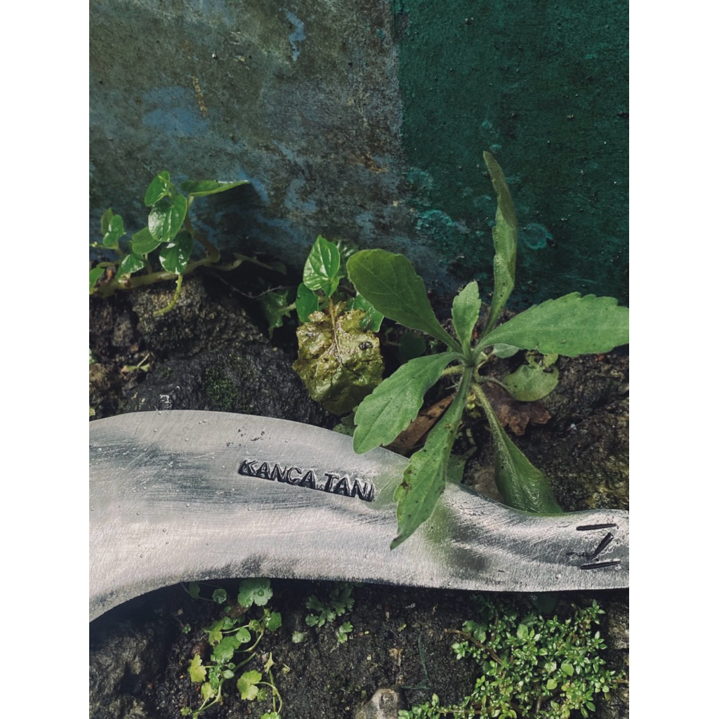 sabit rumput arit pengaritan baja isen