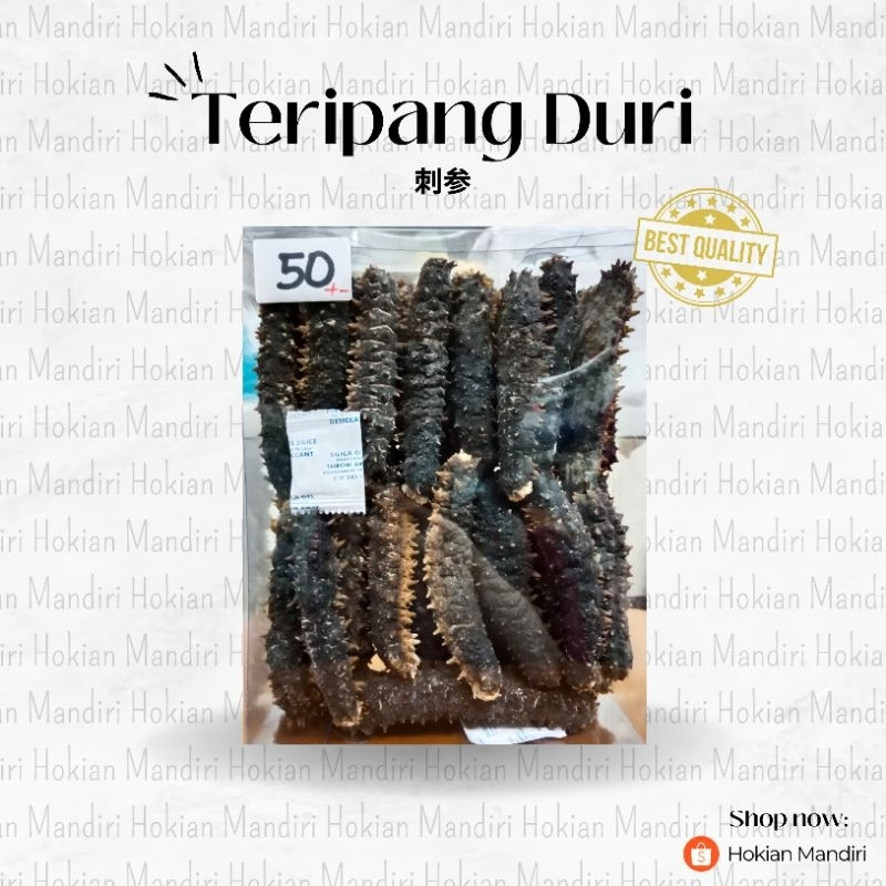 Teripang Duri / Haisom Duri Kering Premium 1kg – Sea Cucumber Berduri Super