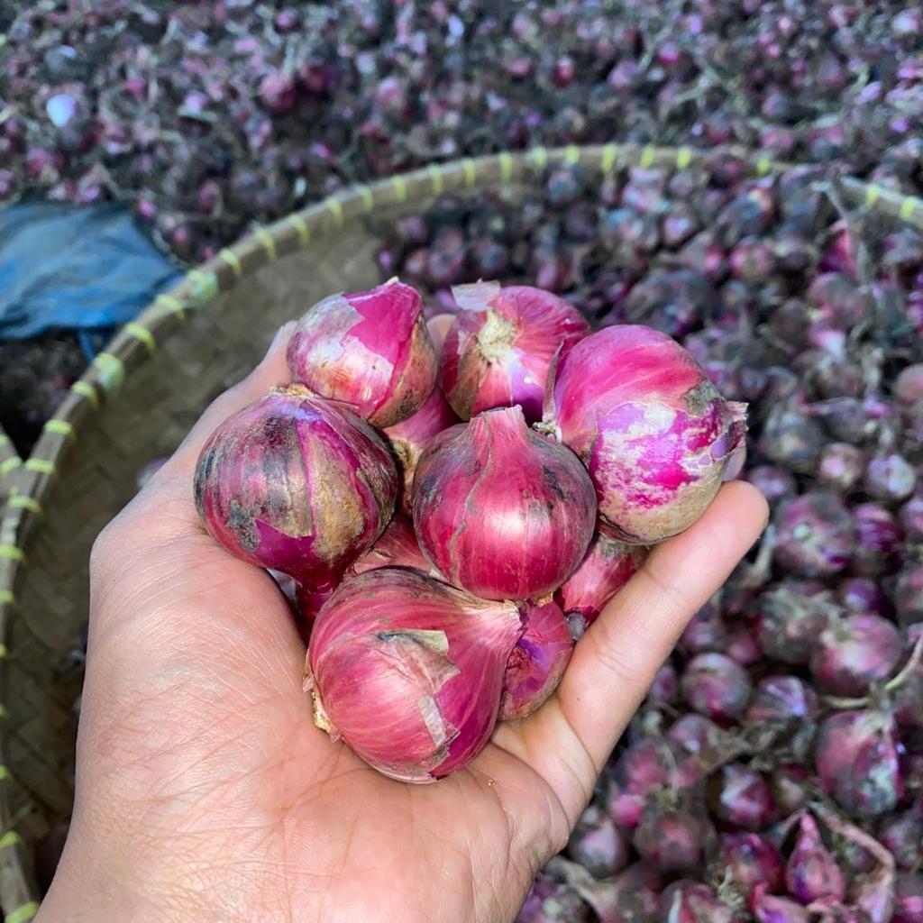 bawang merah 1kg