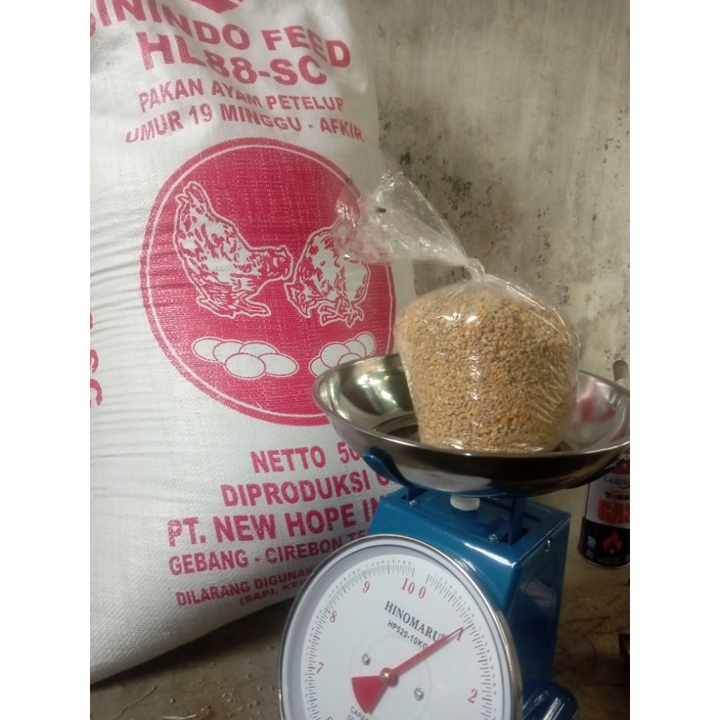 pakan ayam petelur NEW HOPE HL88