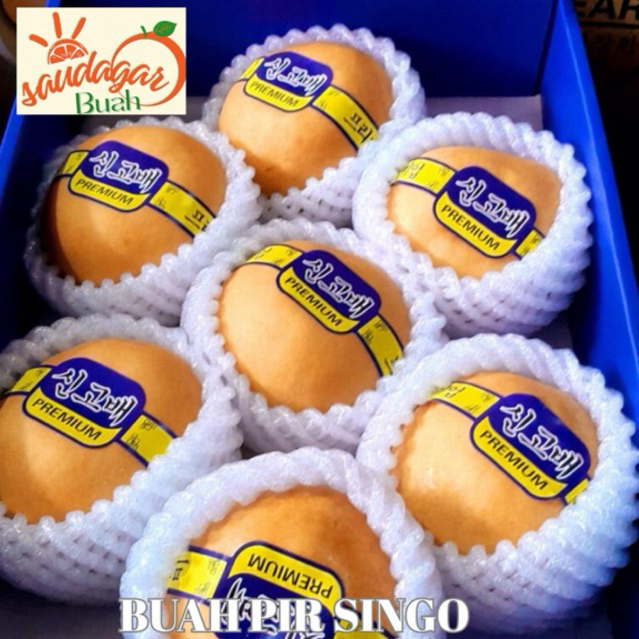 BUAH PIR SINGO PIR KOREA GIFT GROSIR 1 DUS