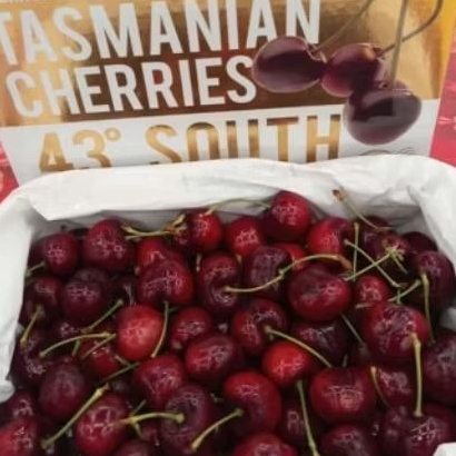 CHERRY TASMANIA 1 BOX 2KG UKURAN 30"-32"