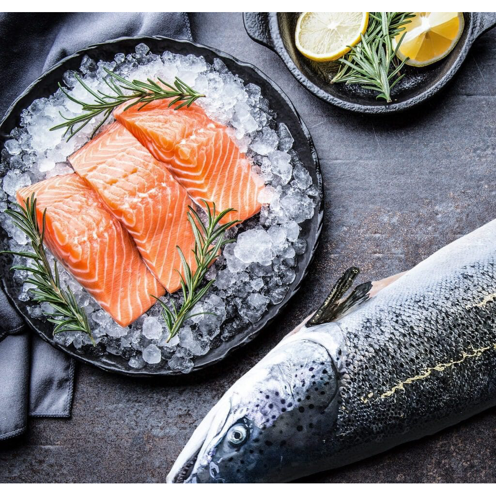 SALMON FRESH