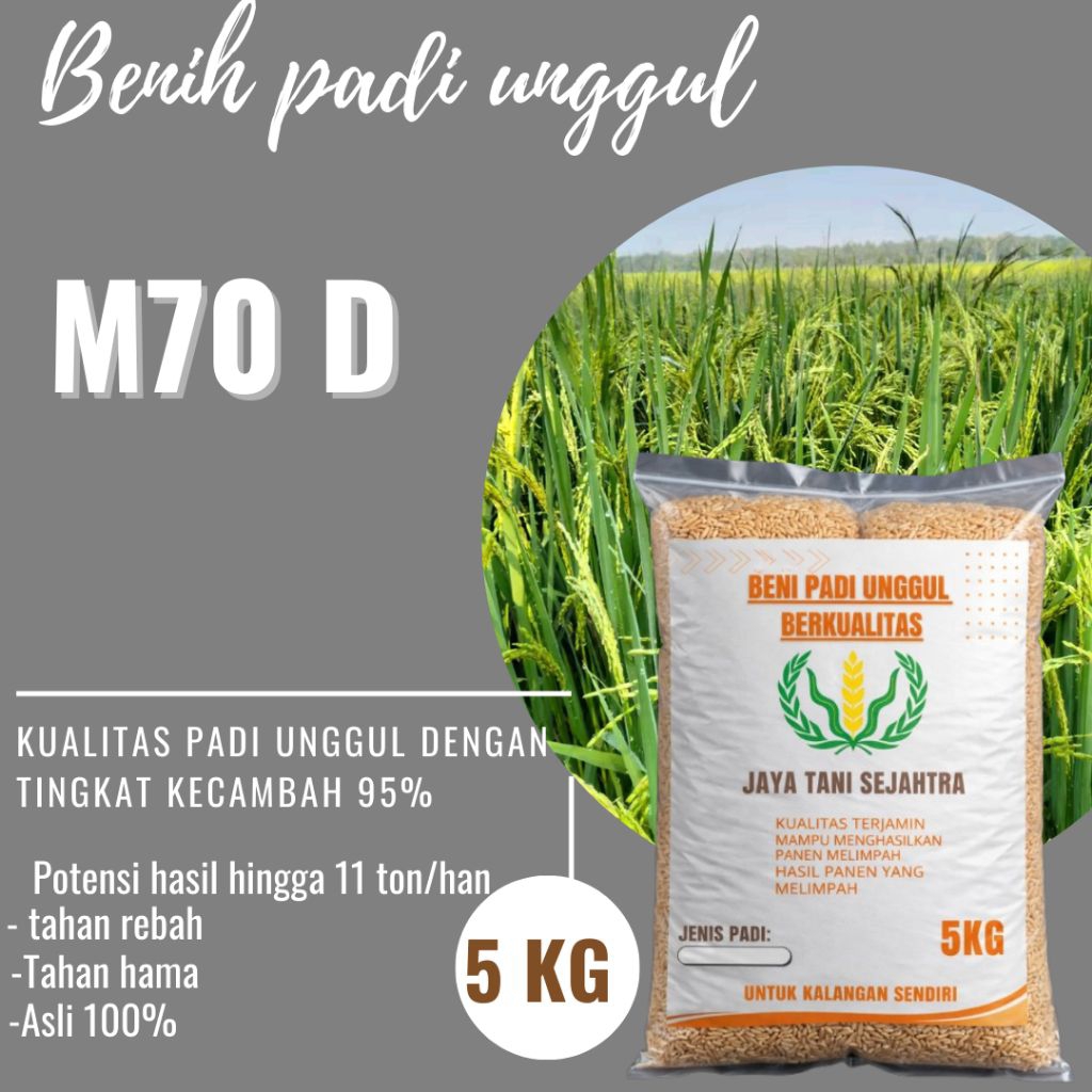BENIH PADI M 70 D KEMASAN 5KG