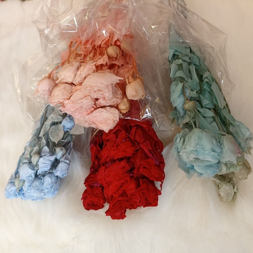 Statica Preserved/Rose Preserved/Dekorasi