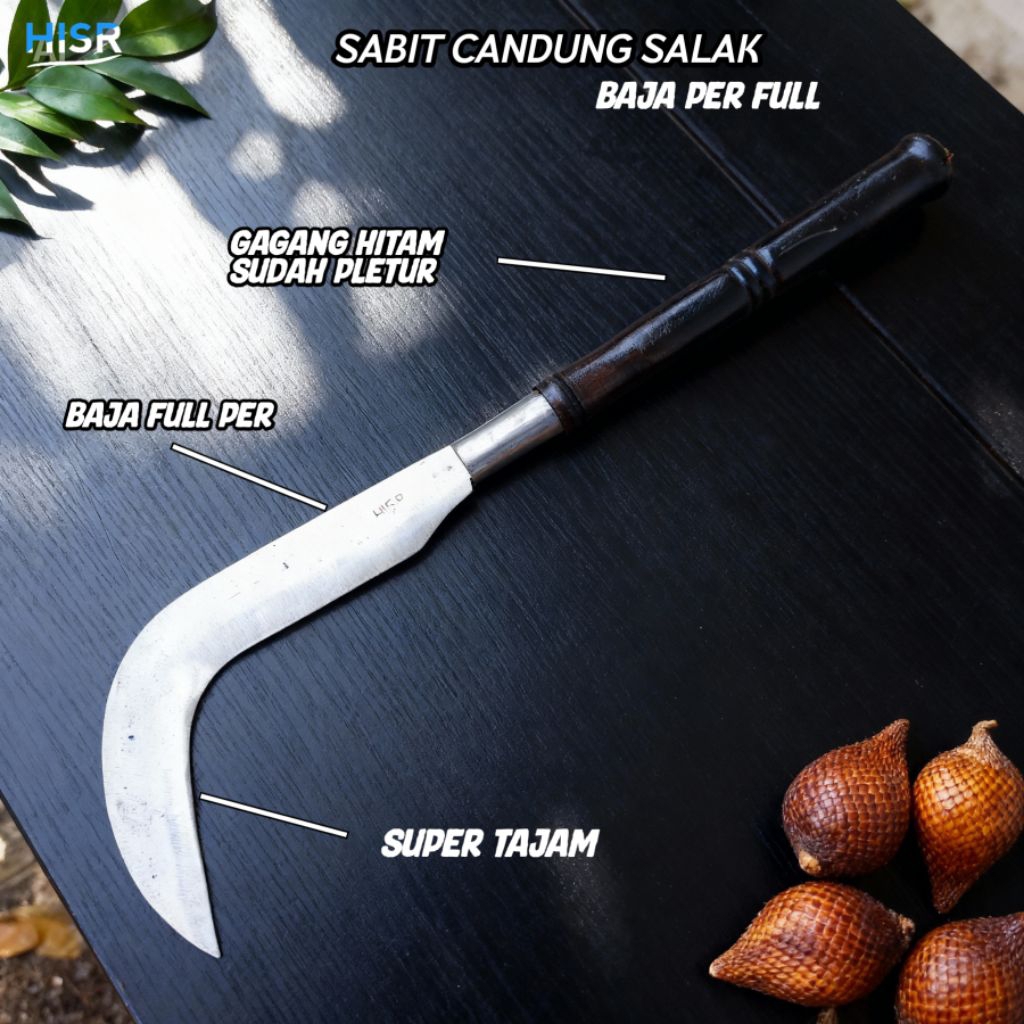 Arit Candung baja Per full super tajam dan kuat untuk pruning salak dan serabutan
