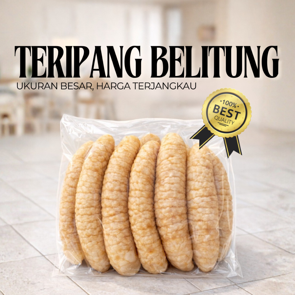 Teripang 1KG Asli Bangka Belitung | Teripang Beku Frozen Basah Siap Masak | Timun Laut | Hai Som | H