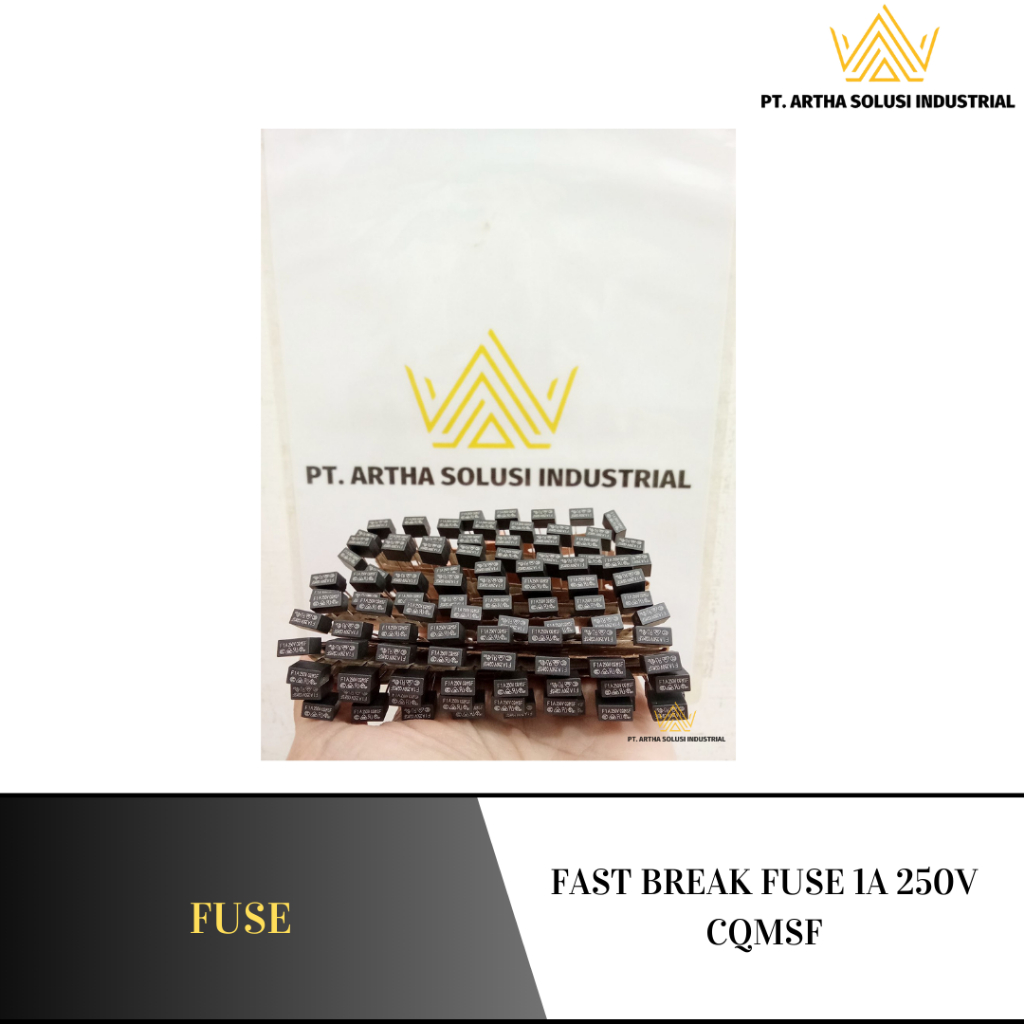 FAST BREAK FUSE 1A 250V CQMSF