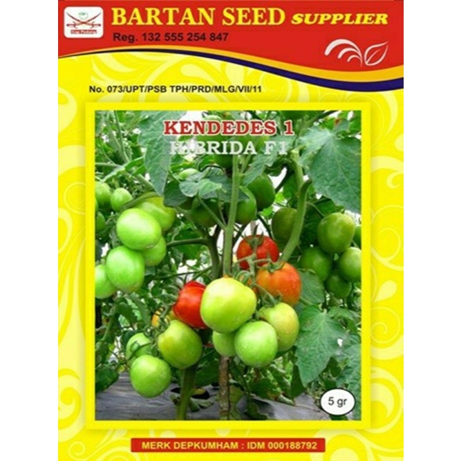 Biji 10 Benih Tomat KENDEDES F1