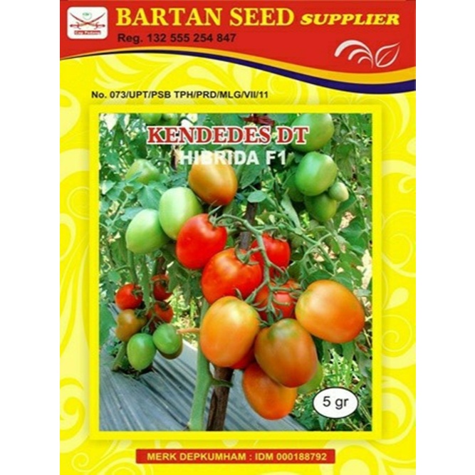 Biji 10 Benih Tomat KENDEDES DT F1