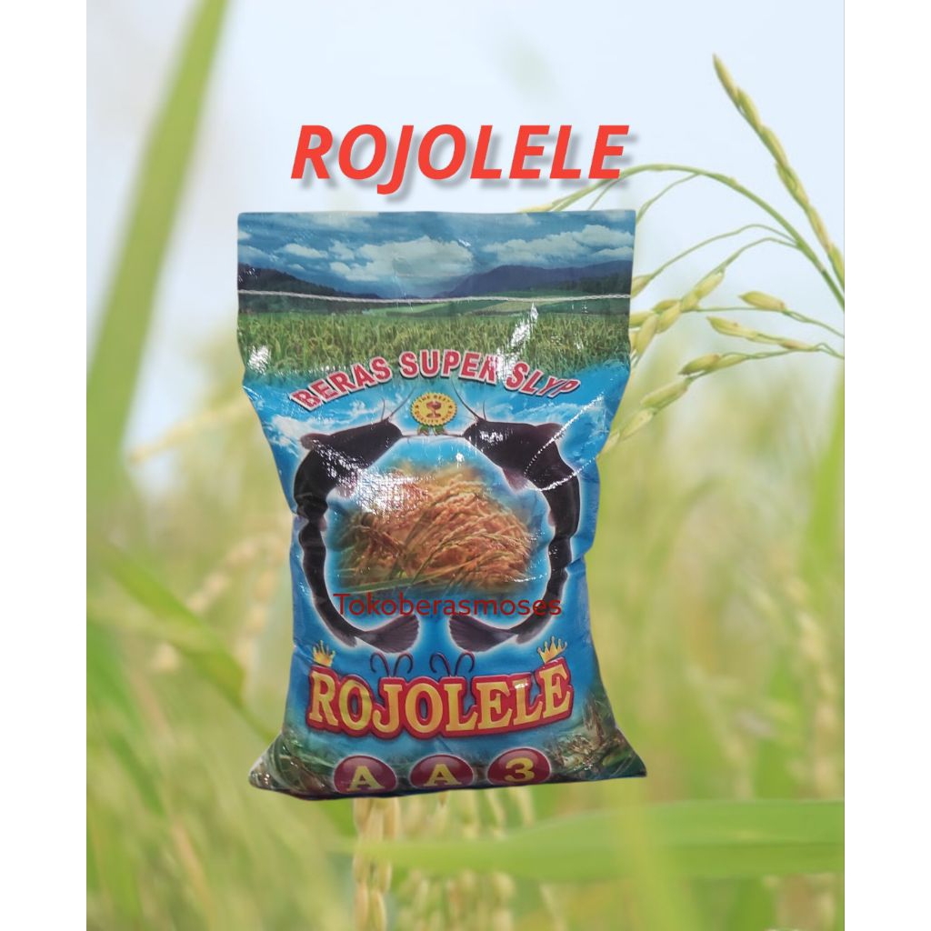 LELE Beras Pulen Beras Premium 1 Karung