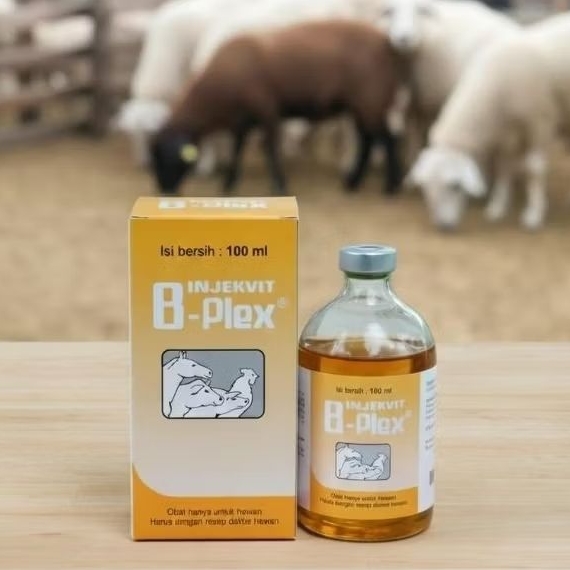 Vitamin B Kompleks Injeksi 100ml B-Plex – Suplemen Ternak Sapi Kambing Babi Domba Penggemuk Nafsu Ma