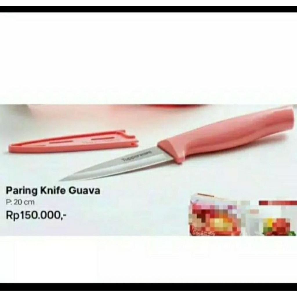 Paring Knife Tupperware ukuran 20 cm