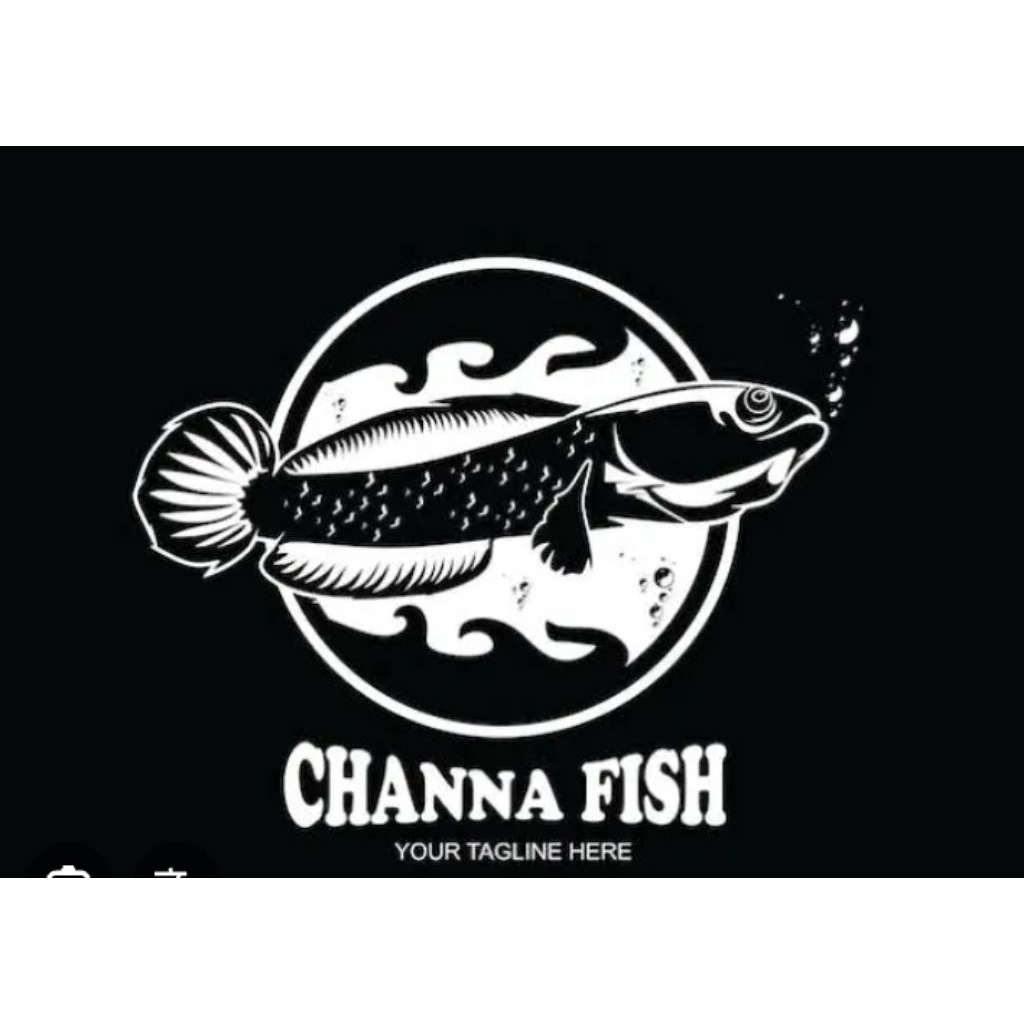 sticker channa limbata