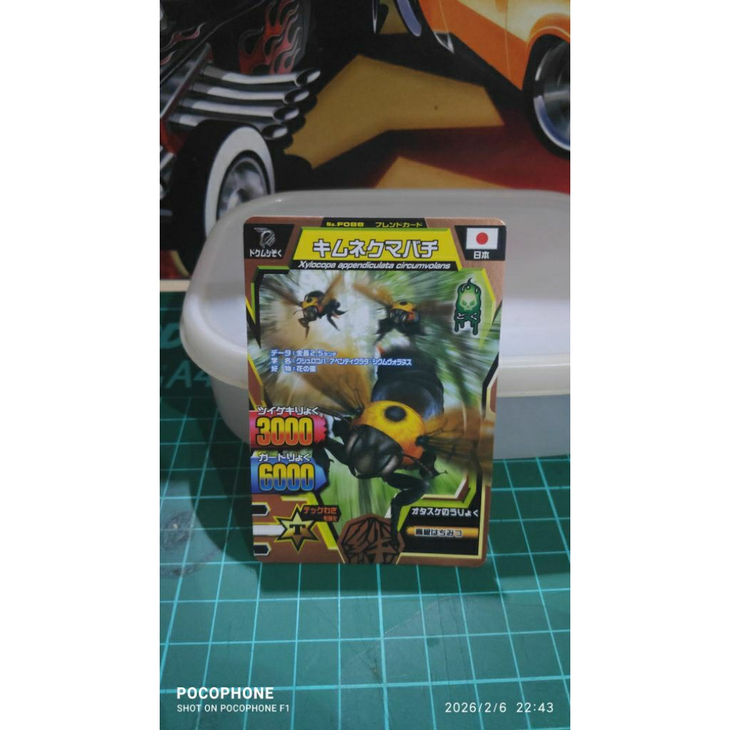 kartu animal kaiser  bronze kimunekumabee japan