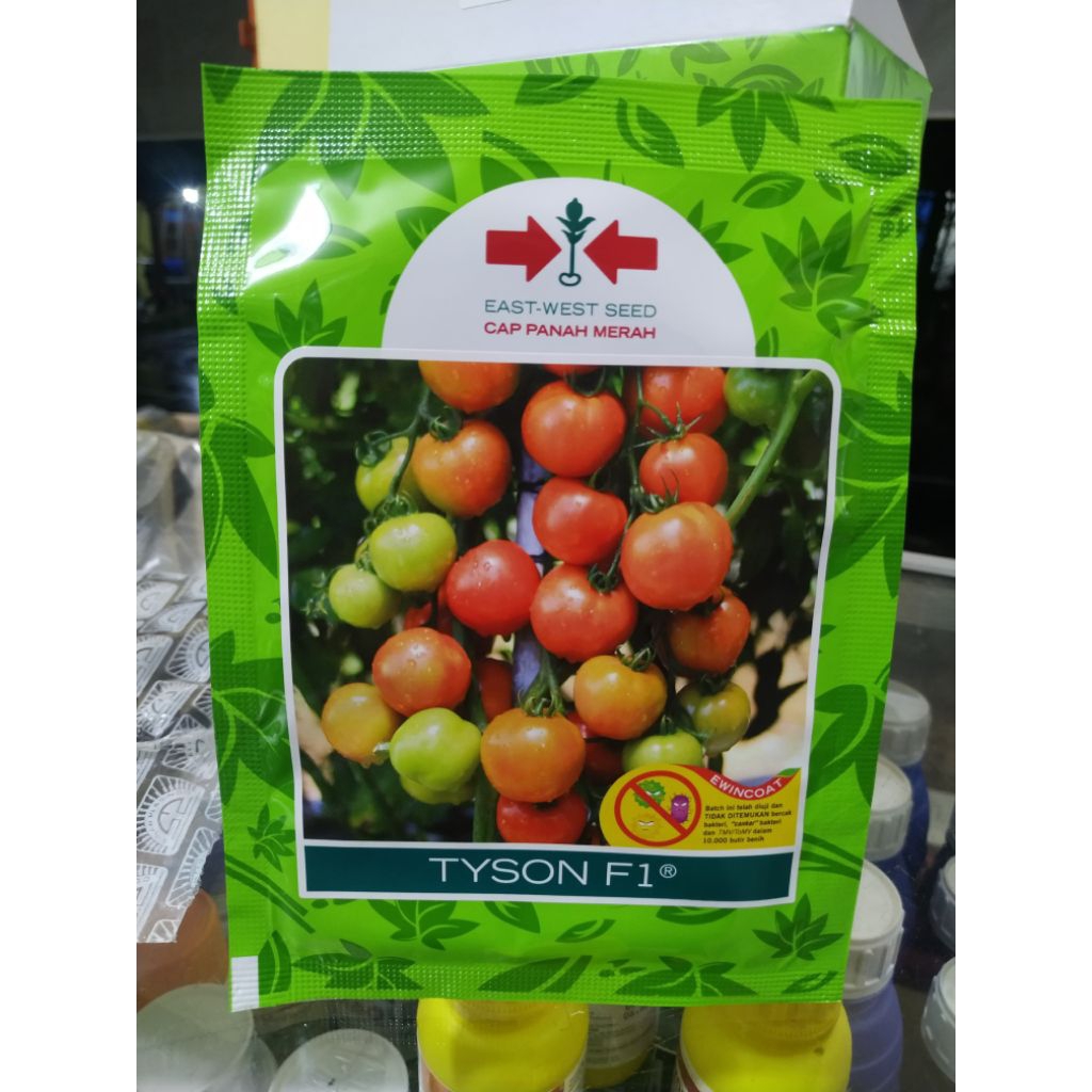 tomat tyson f1 benih tomat tyson panah merah