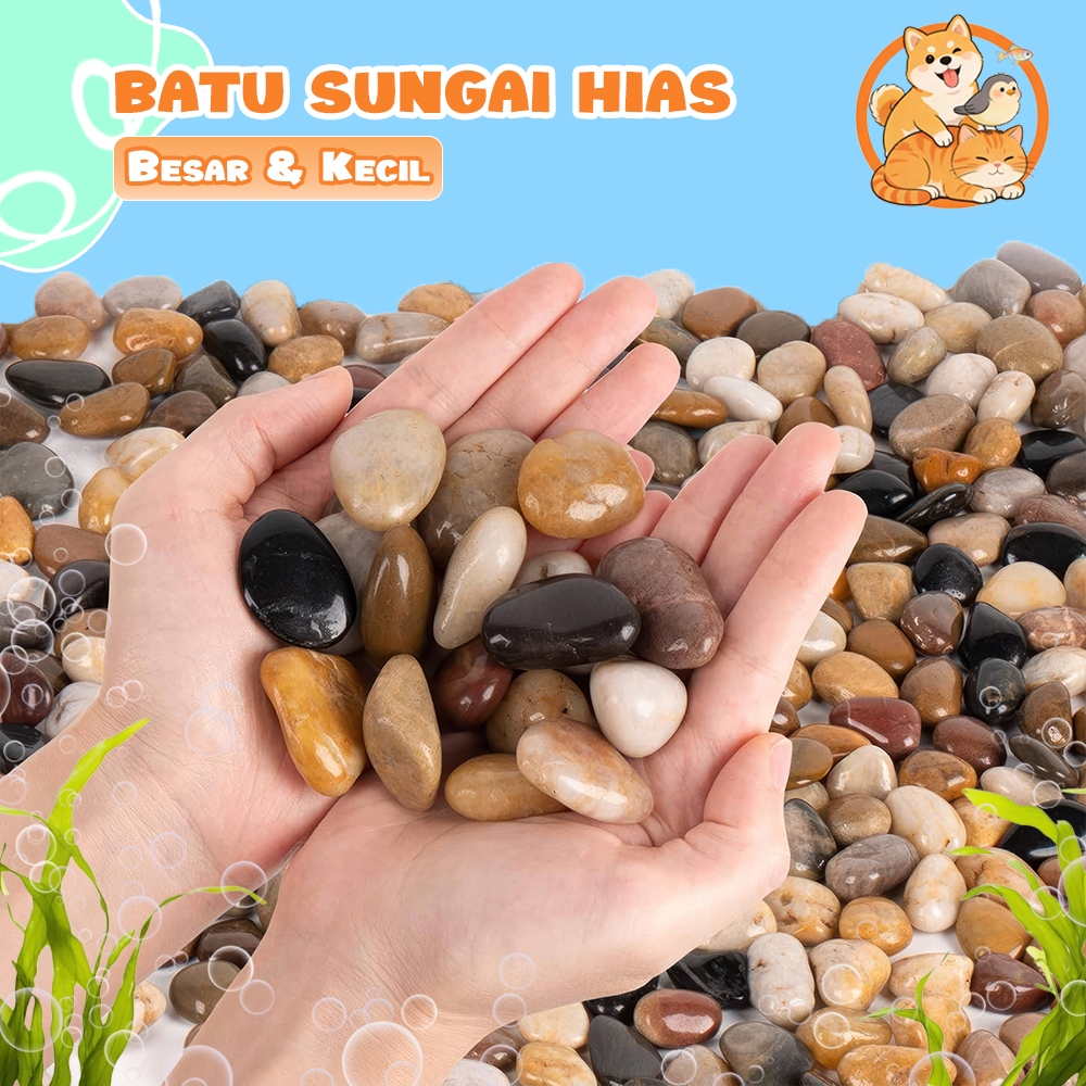 Batu Sungai Hias Akuarium & Aquascape Alami Ukuran Besar dan Kecil