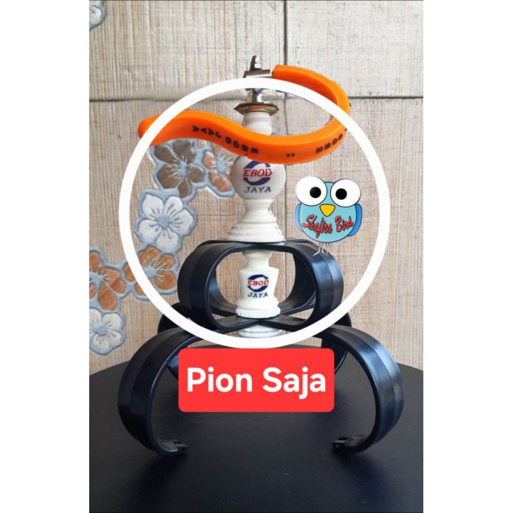 Pion sangkar murai ebod jaya