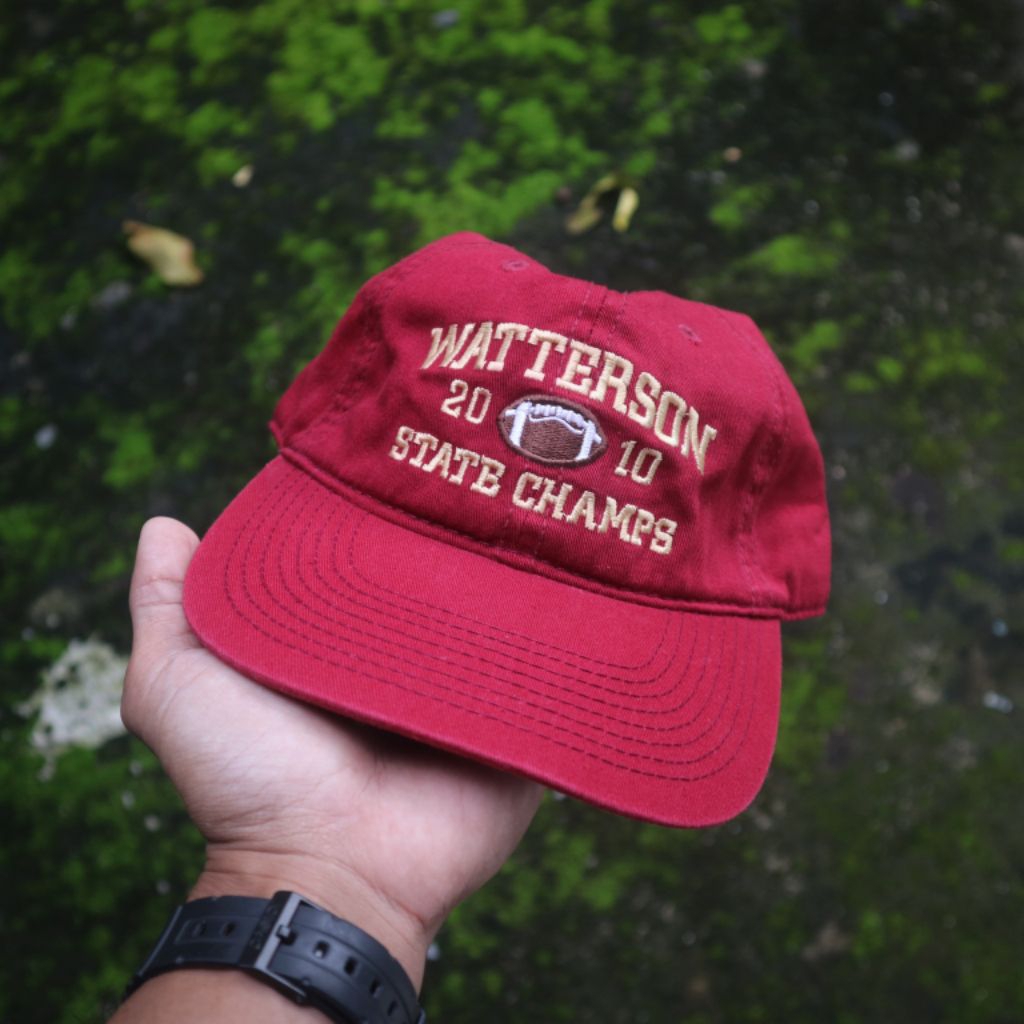 TOPI THE GAME WATTERSON 2010