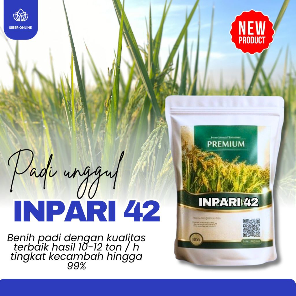 BENIH PADI UNGGUL INPARI 42 ORIGINAL 5KG BERKUALITAS