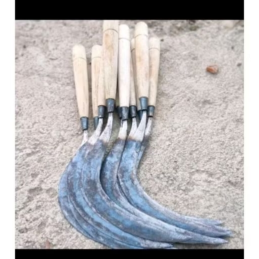 Arit anyih sabit padi ukuran kecil