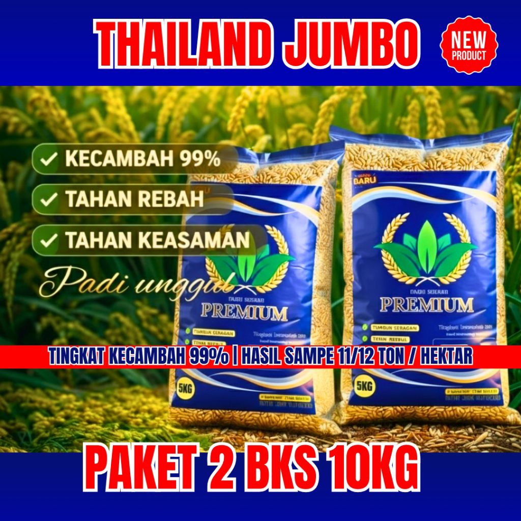 PAKET 10 KG | BENIH PADI UNGGUL THAILAND JUMBO ORIGINAL 10KG