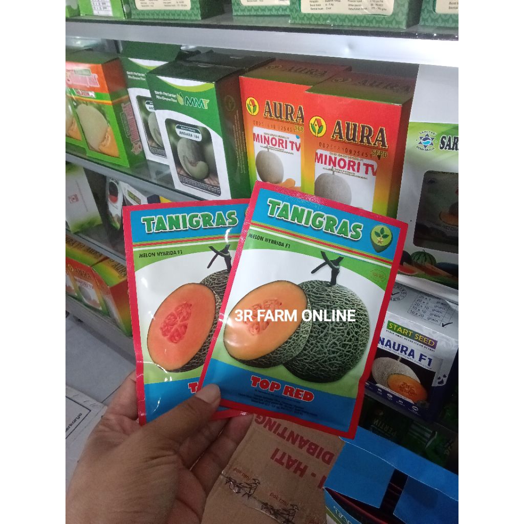 Benih Bibit Melon Top Red F1 (Tahan Hama Penyakit) isi 500 Biji Kadaluarsa 2027 Terbaru - Tani Grass