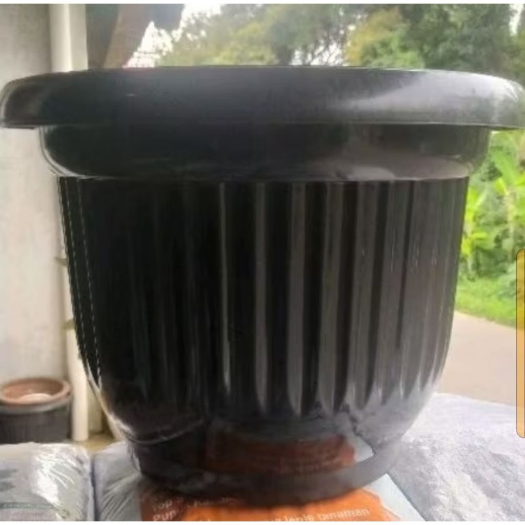 pot besar 50cm/global lion