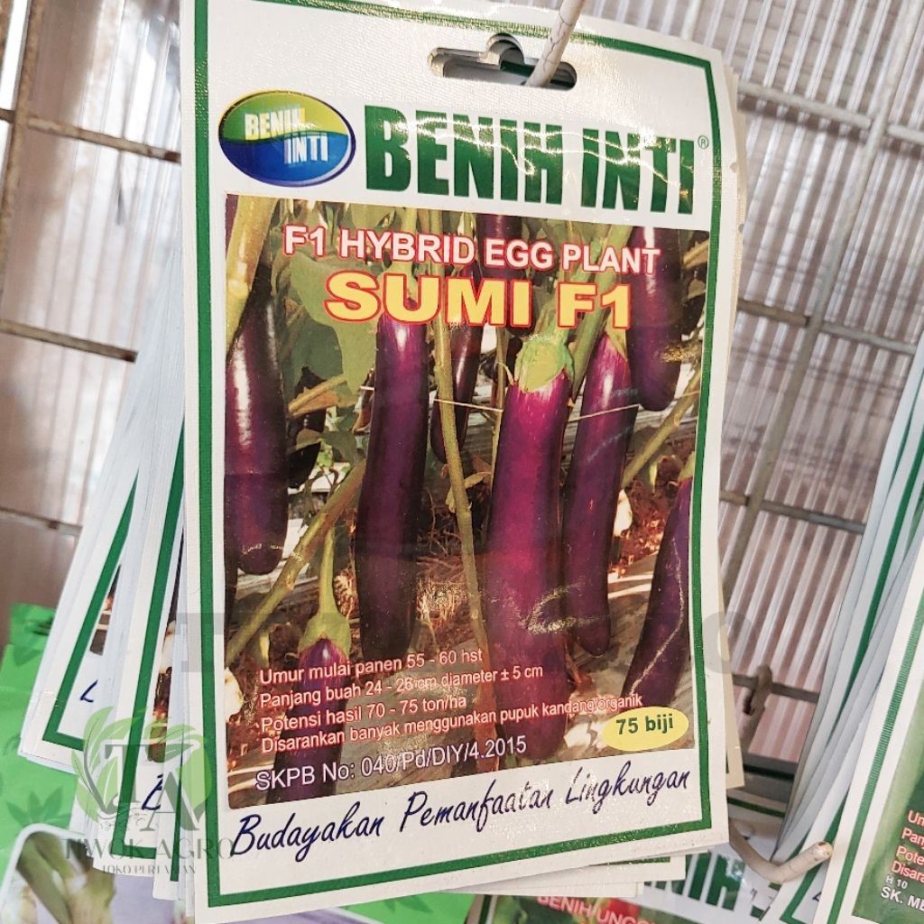 Benih Terong Ungu SUMI F1 Hibrida Benih Inti Isi 75 Biji - Terung Panjang Unggul