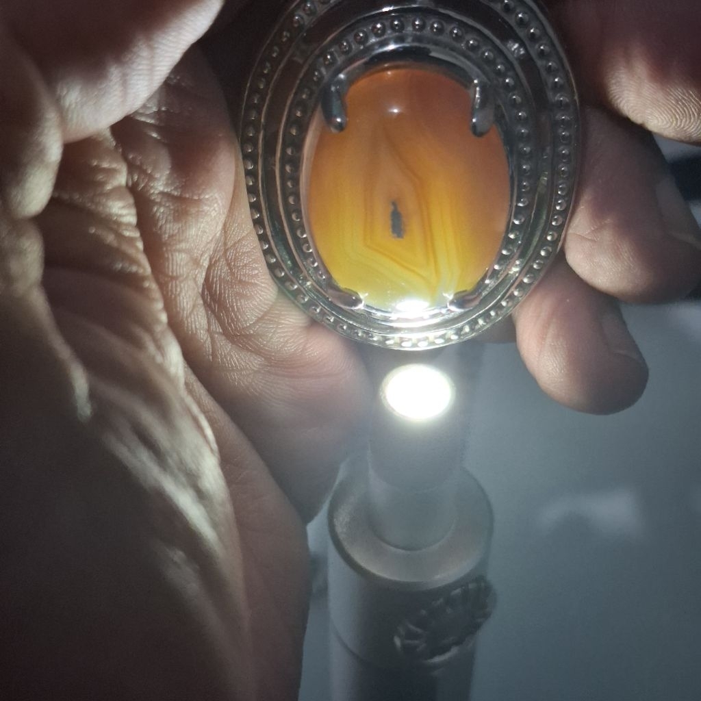 NATURAL RAFLESIA COMBONG LIONTIN JUNDAR JUMBO