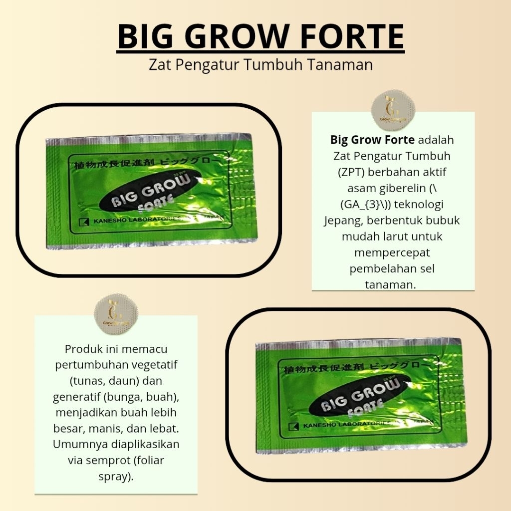 ZPT BIG GROW FORTE || SACHET || PER BUNGKUS