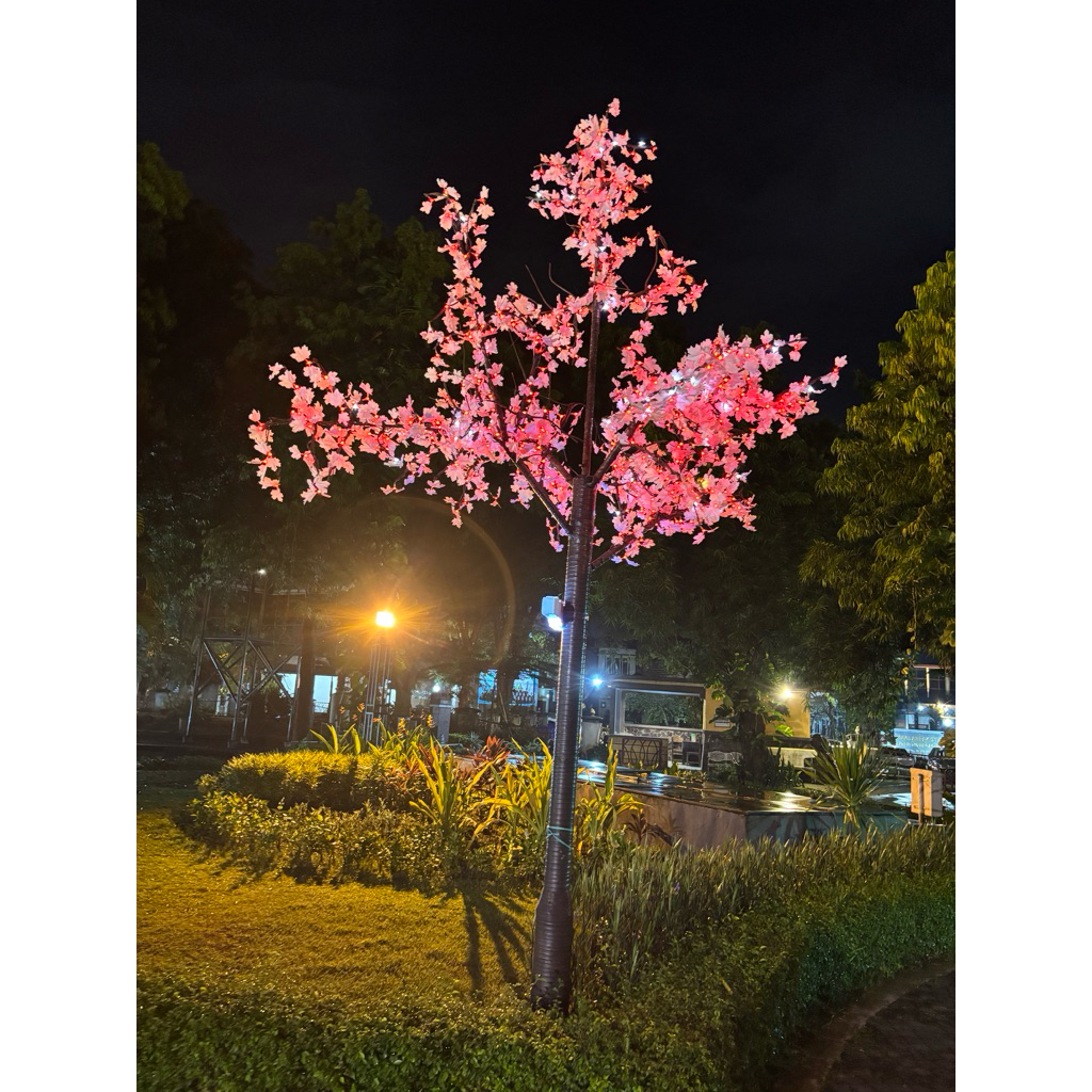 bunga bogenville bonsai besar 50kg