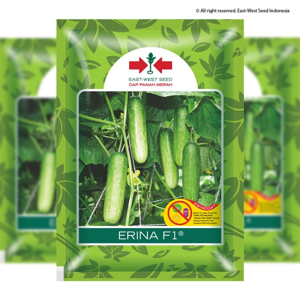 Cap Panah Merah - Benih Timun ERINA F1