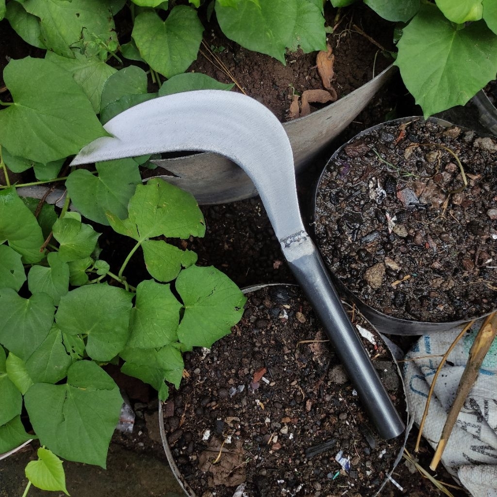 Sabit rumput bahan baja super tajam