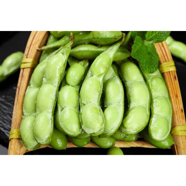 TANAMAN SUPER BENIH EDAMAME