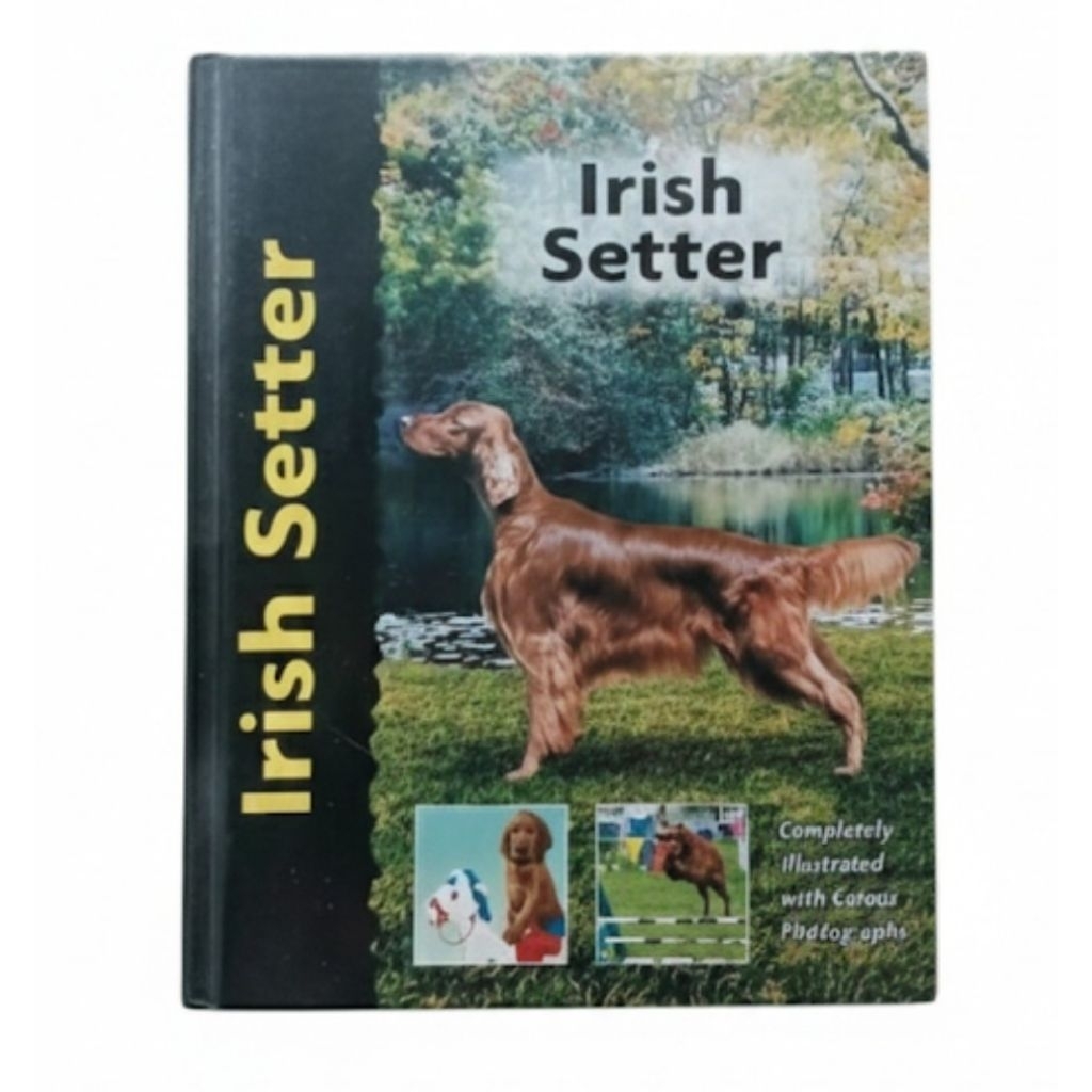 Pet Love: Irish Setter