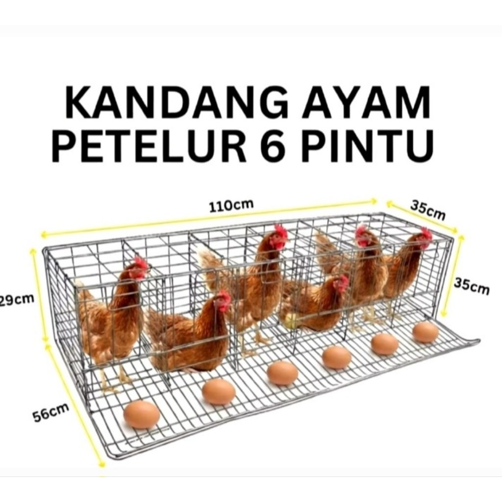 KANDANG AYAM PETELUR/6 PINTU/6 AYAM