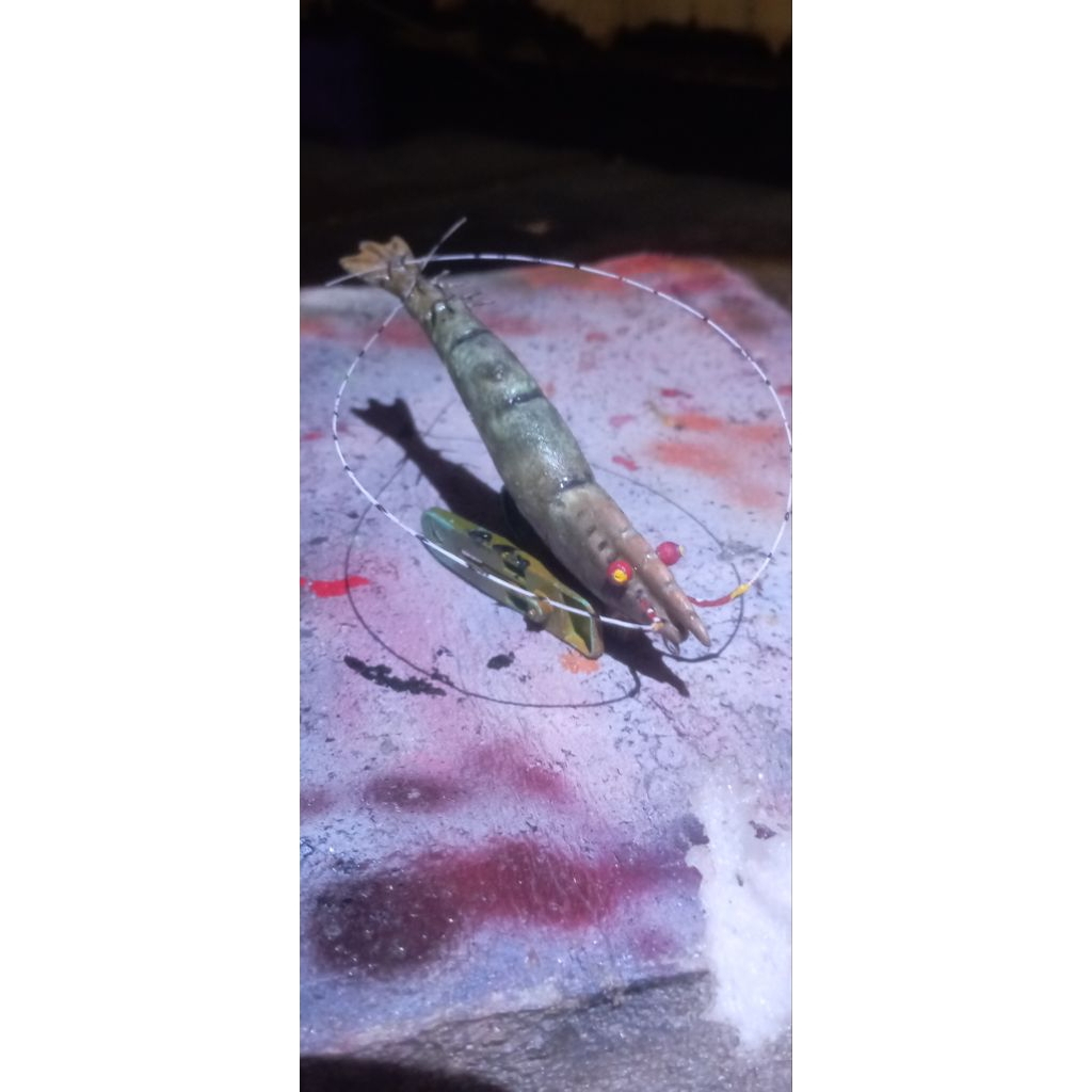 umpan_cumi_mirip_udang_asli