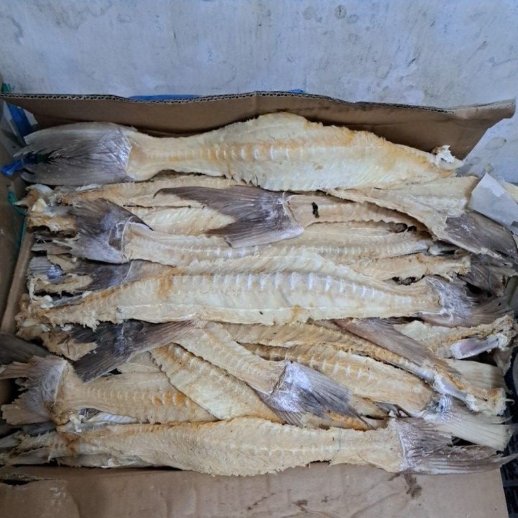Tulang ikan asin Jambal