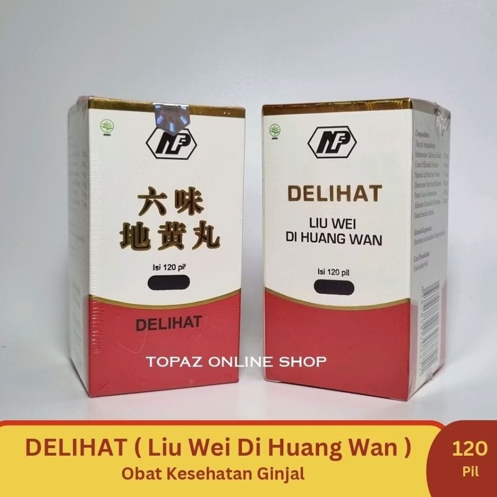 delihat liu wei di huang wan obat kesehatan ginjal