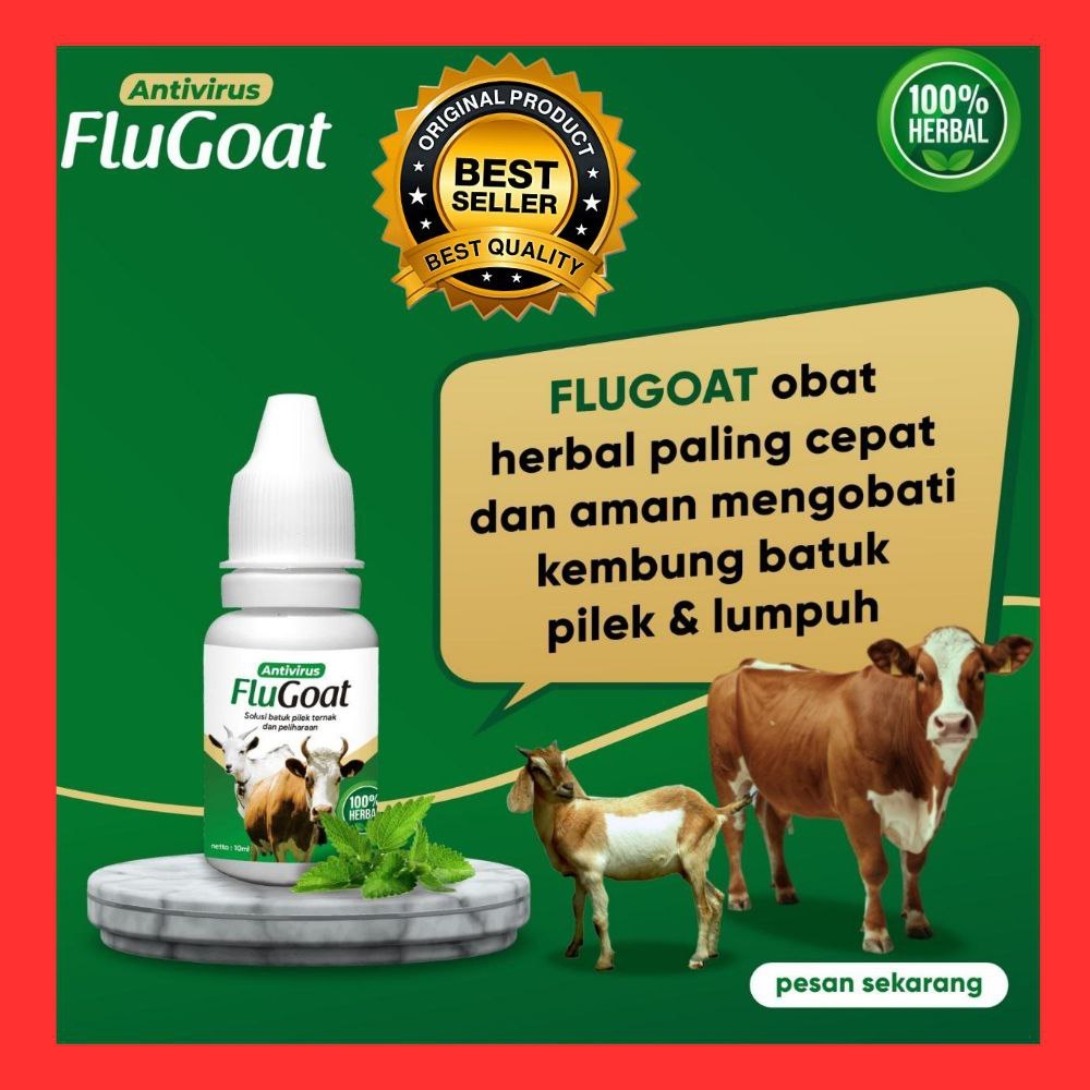 TERLARIS  Obat Flu Ayam Petelur, Obat Flu Ayam Kampung, Obat Flu Ayam Paling Ampuh