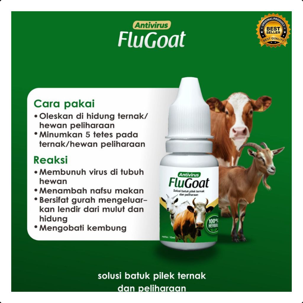 DICARI-CARI  Obat Flu Ayam Kate, Obat Flu Ayam Ngorok, Obat Flu Kambing Alami